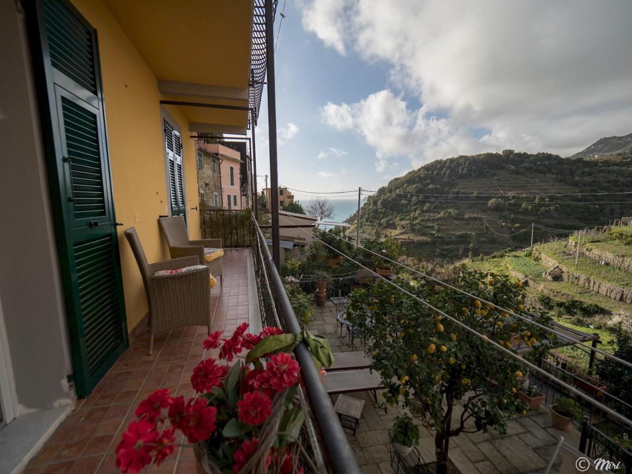 Le Terrazze Guest house *